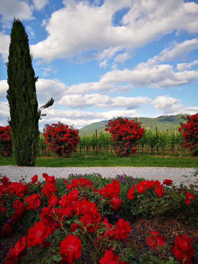 Farm stay Pizzulin - Wine & Living