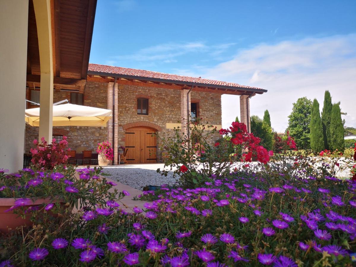 Pizzulin - Wine & Living Farm stay