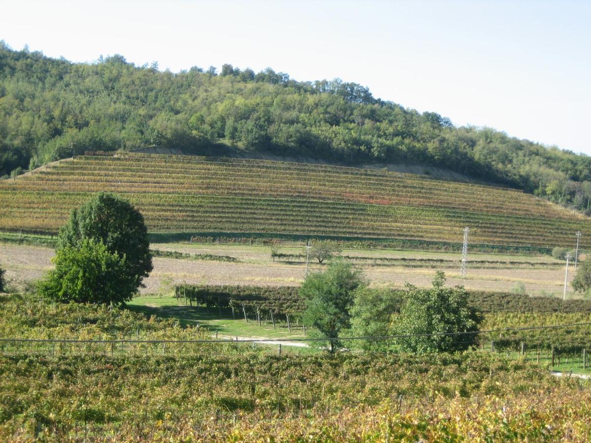 Pizzulin - Wine & Living Farm stay Prepotto (Udine)