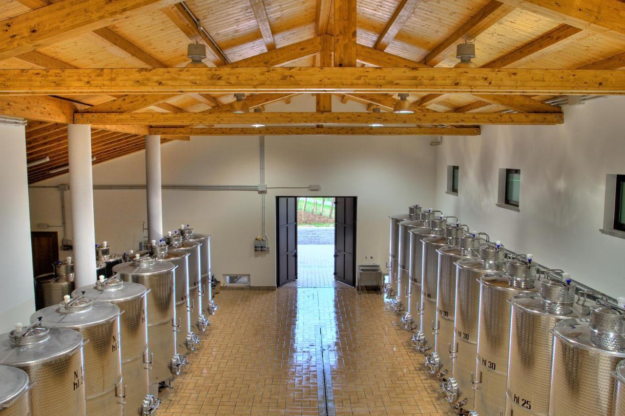 Pizzulin - Wine & Living Farm stay Prepotto (Udine)