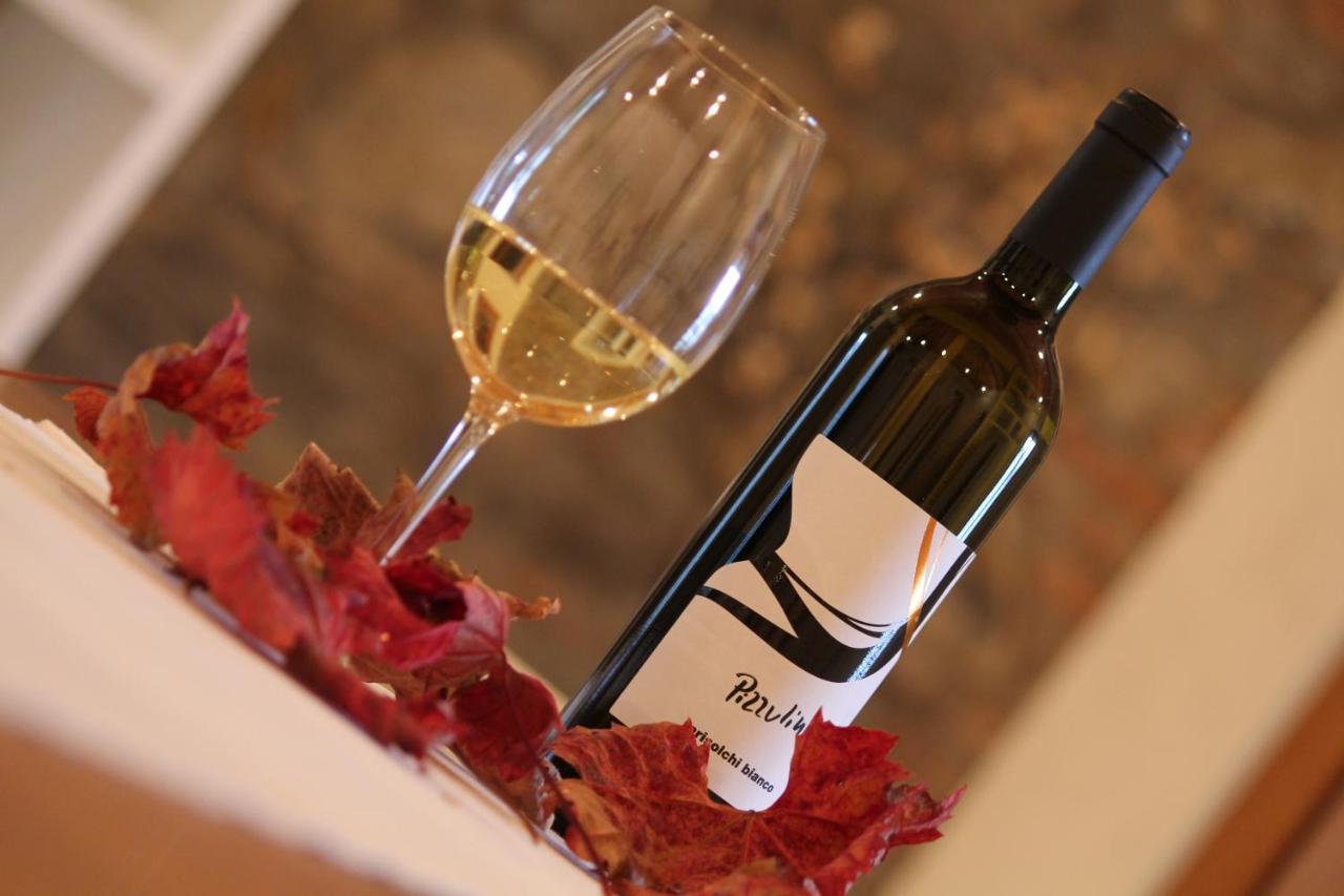 Farm stay Pizzulin - Wine & Living
