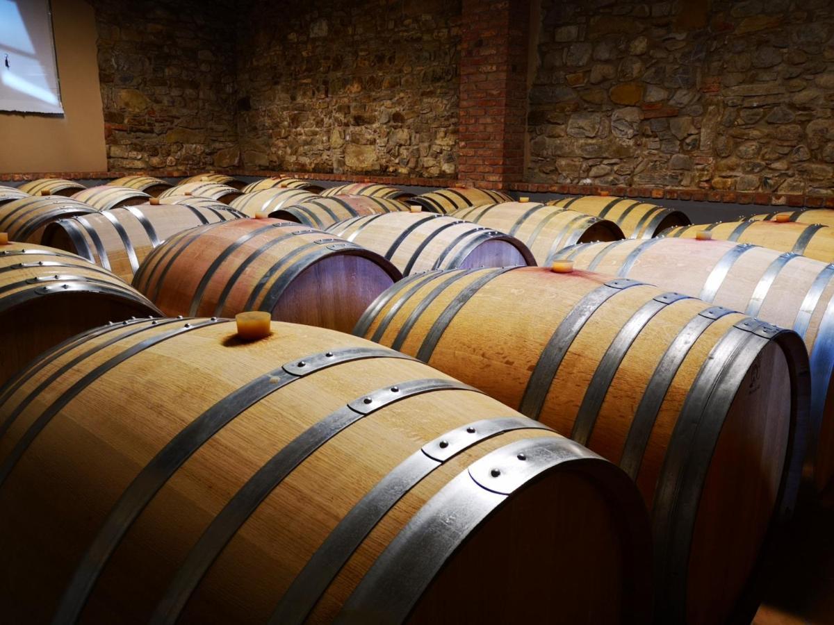 Pizzulin - Wine & Living Farm stay